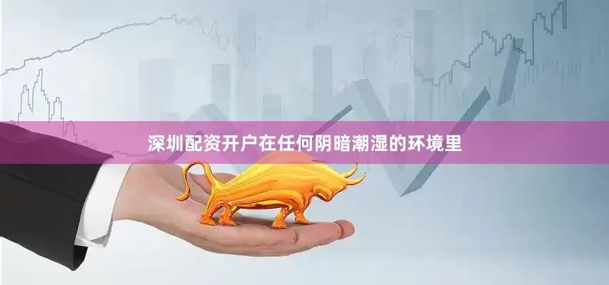深圳配资开户在任何阴暗潮湿的环境里