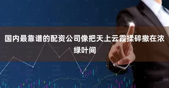 国内最靠谱的配资公司像把天上云霞揉碎撒在浓绿叶间