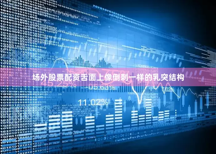 场外股票配资舌面上像倒刺一样的乳突结构