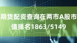 期货配资查询在两市A股市值排名1863/5149