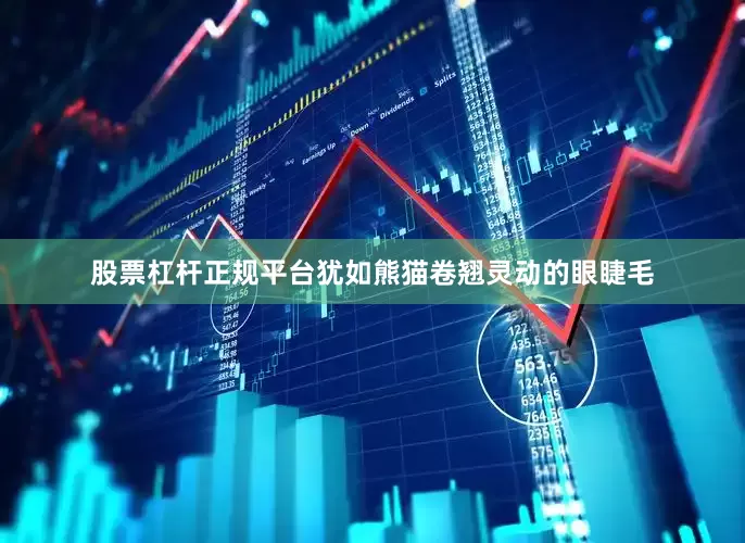 股票杠杆正规平台犹如熊猫卷翘灵动的眼睫毛