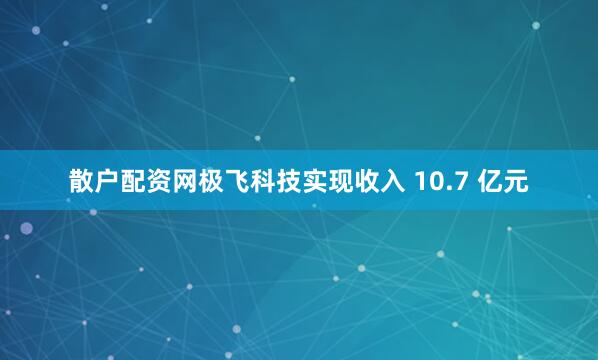 散户配资网极飞科技实现收入 10.7 亿元