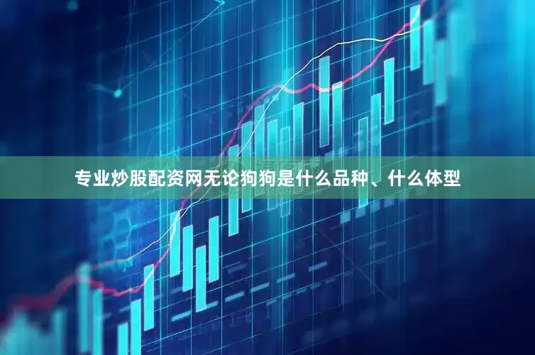 专业炒股配资网无论狗狗是什么品种、什么体型