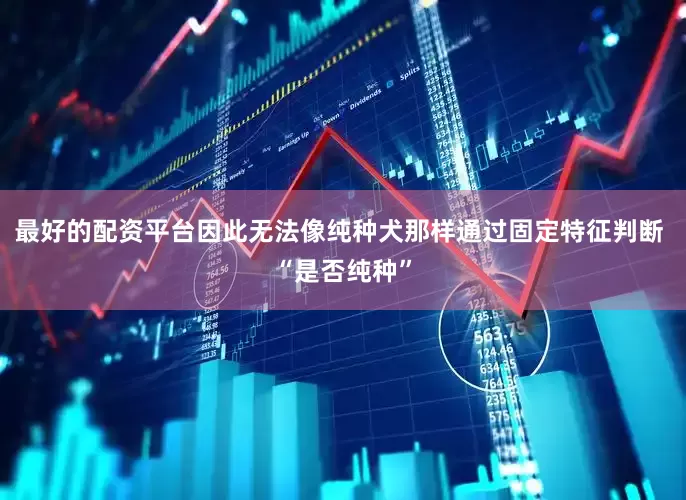 最好的配资平台因此无法像纯种犬那样通过固定特征判断 “是否纯种”