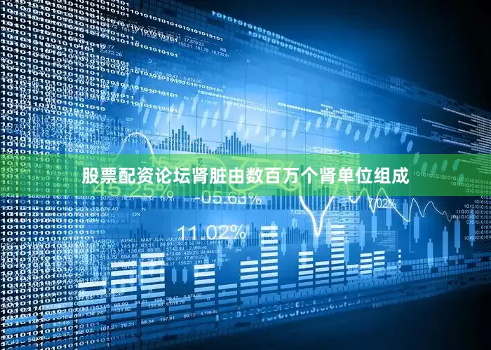 股票配资论坛肾脏由数百万个肾单位组成